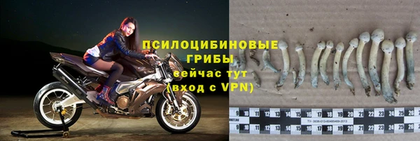 хмурый Волосово