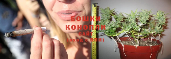 дживик Волоколамск