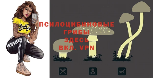 хмурый Волосово