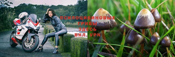 хмурый Волосово