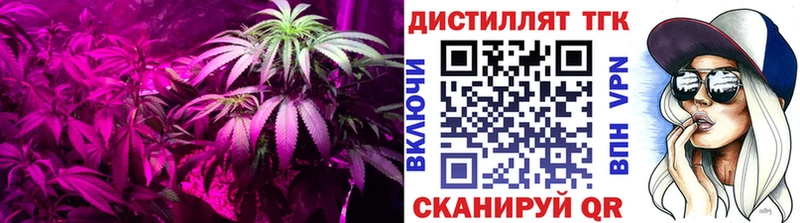 ТГК гашишное масло  маркетплейс официальный сайт  Березники  mega онион 