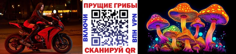 Псилоцибиновые грибы мухоморы  купить наркотики цена  Березники 